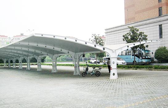 活動中心膜結(jié)構(gòu)